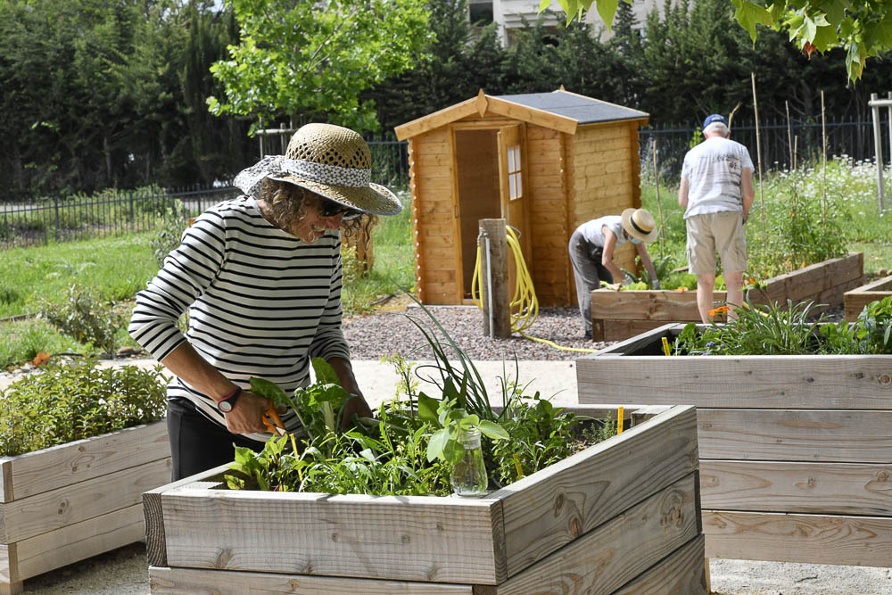 Atelier jardinage Occitalia